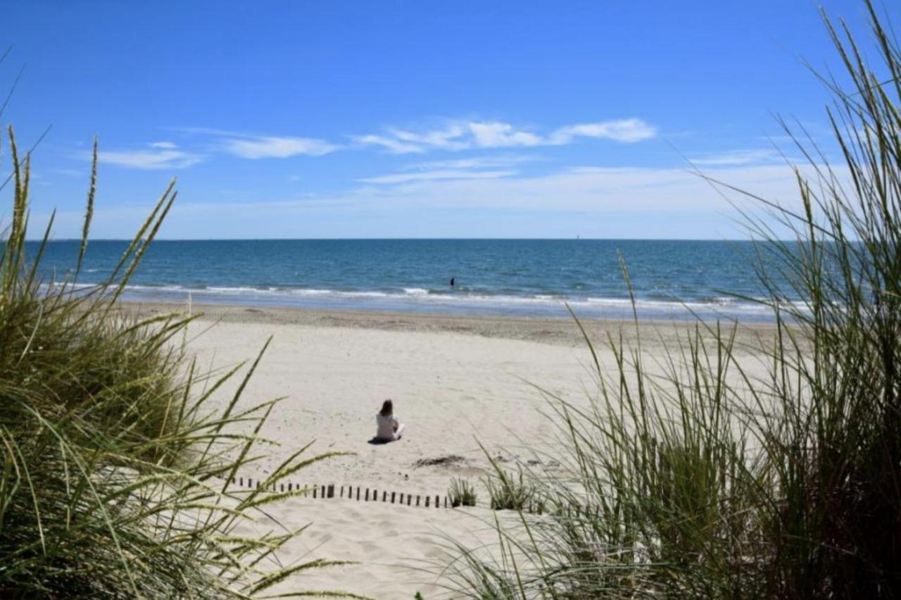 Super Appart ! Terrasse, Clim, Parking, 2Min Plage. Ла-Гранд-Мот Экстерьер фото